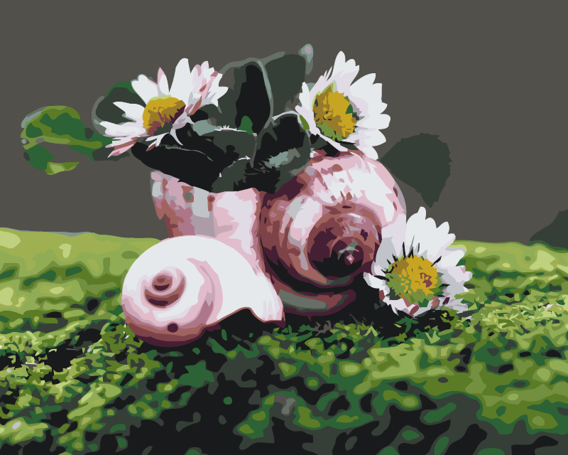 Paint by number - Margueritter i konkylien