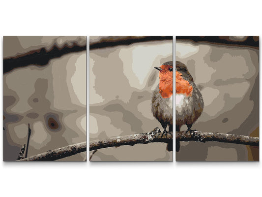 Paint by number - Robin (sæt af 3)