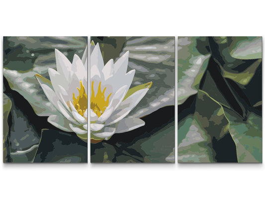 Paint by number - Lotusblomst, Symbol på Visdom (sæt af 3)