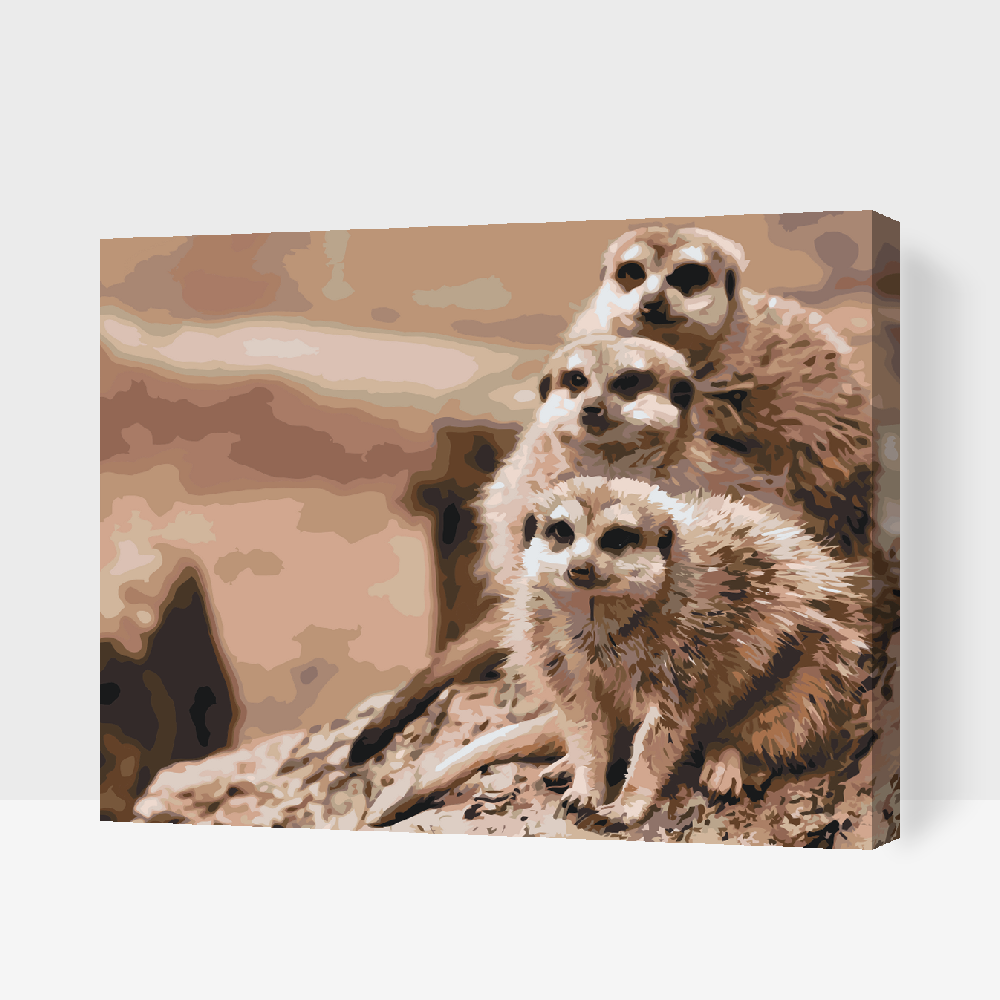 Paint by number - Safari Surikater