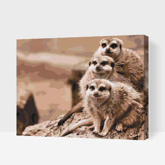 Paint by number - Safari Surikater