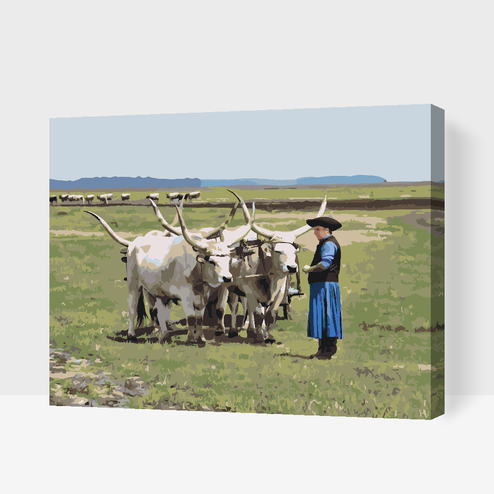 Paint by number - Hortobagy Nationalpark, Ungarn