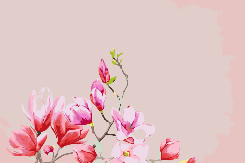 Paint by number - Magnolia