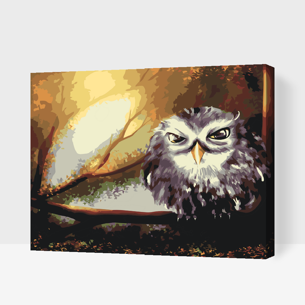 Paint by number - Wise Owl