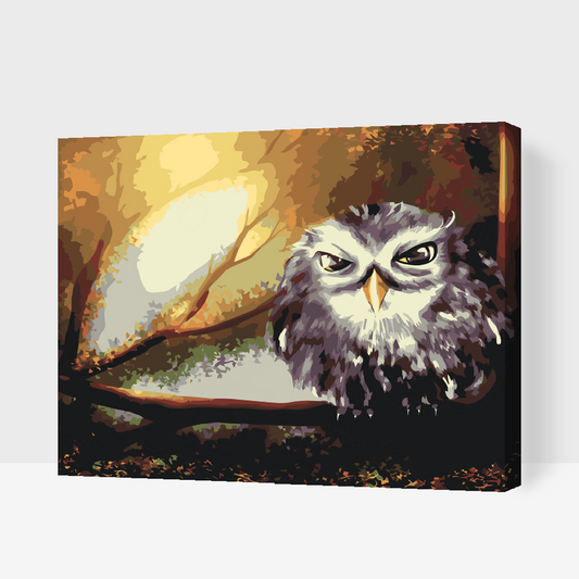 Paint by number - Wise Owl