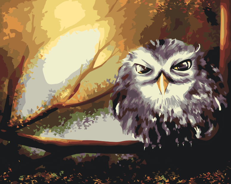 Paint by number - Wise Owl