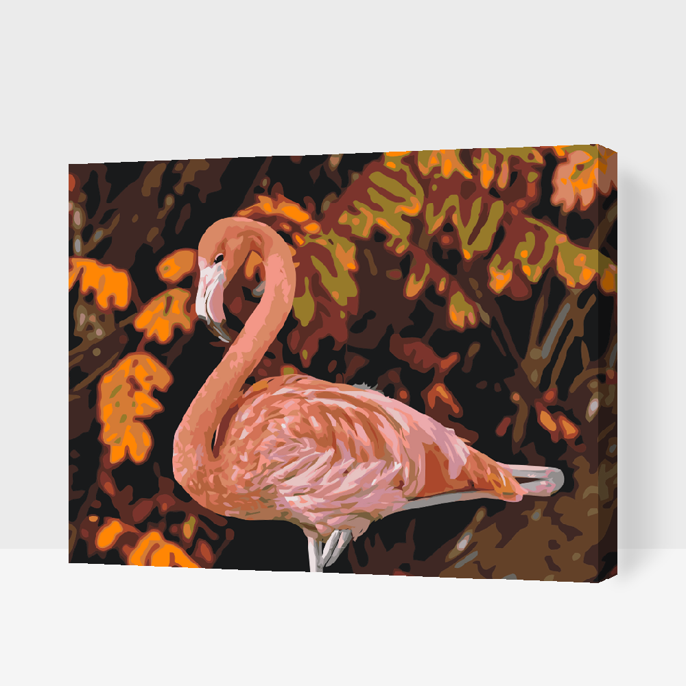 Paint by number - Flamingo i naturen