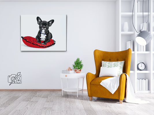 Paint by number - Sort bulldog på en pude