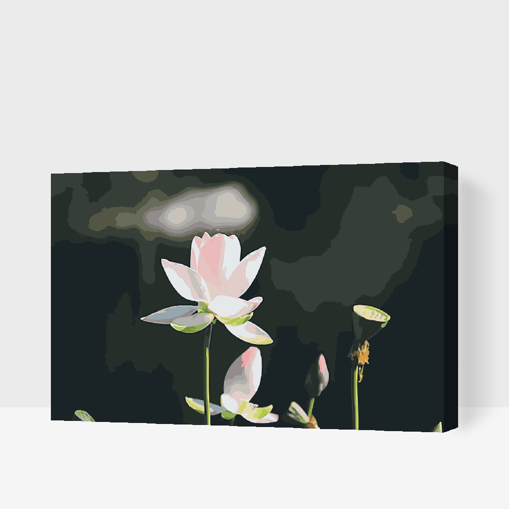 Paint by number - Lotusblomst