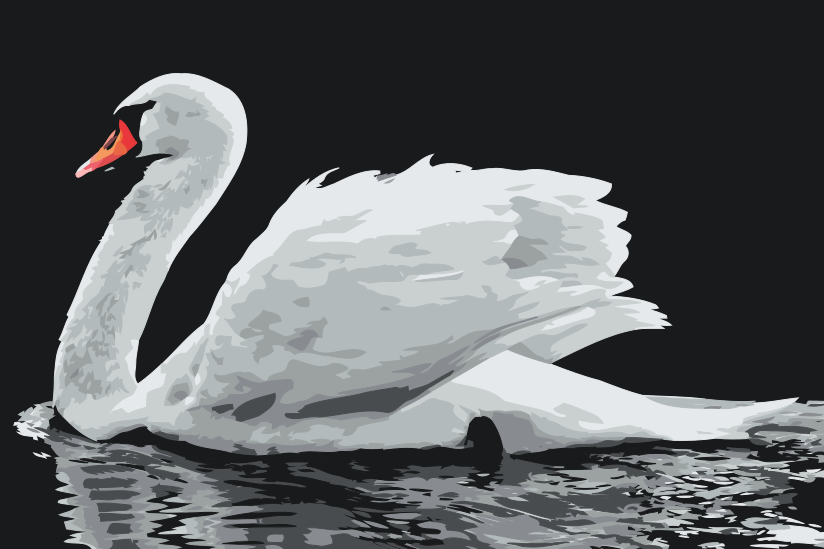 Paint by number - Hvid Svane