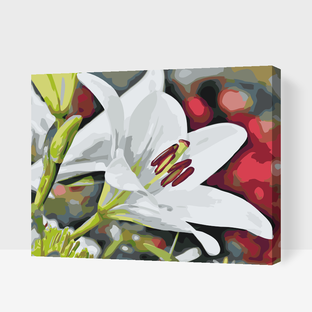 Paint by number - White Lily