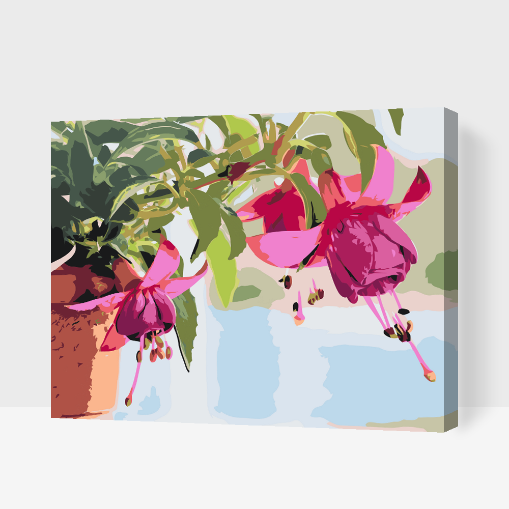 Paint by number - Fuchsia i en blomsterpotte