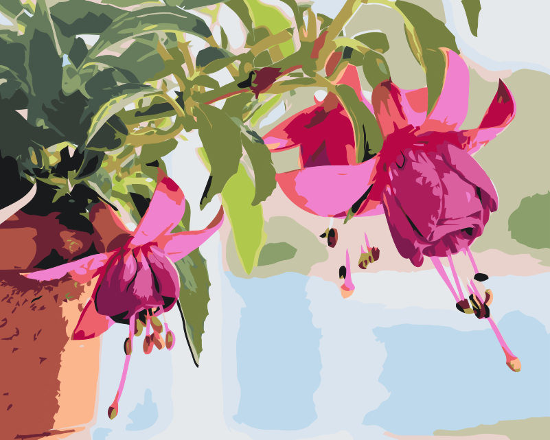 Paint by number - Fuchsia i en blomsterpotte