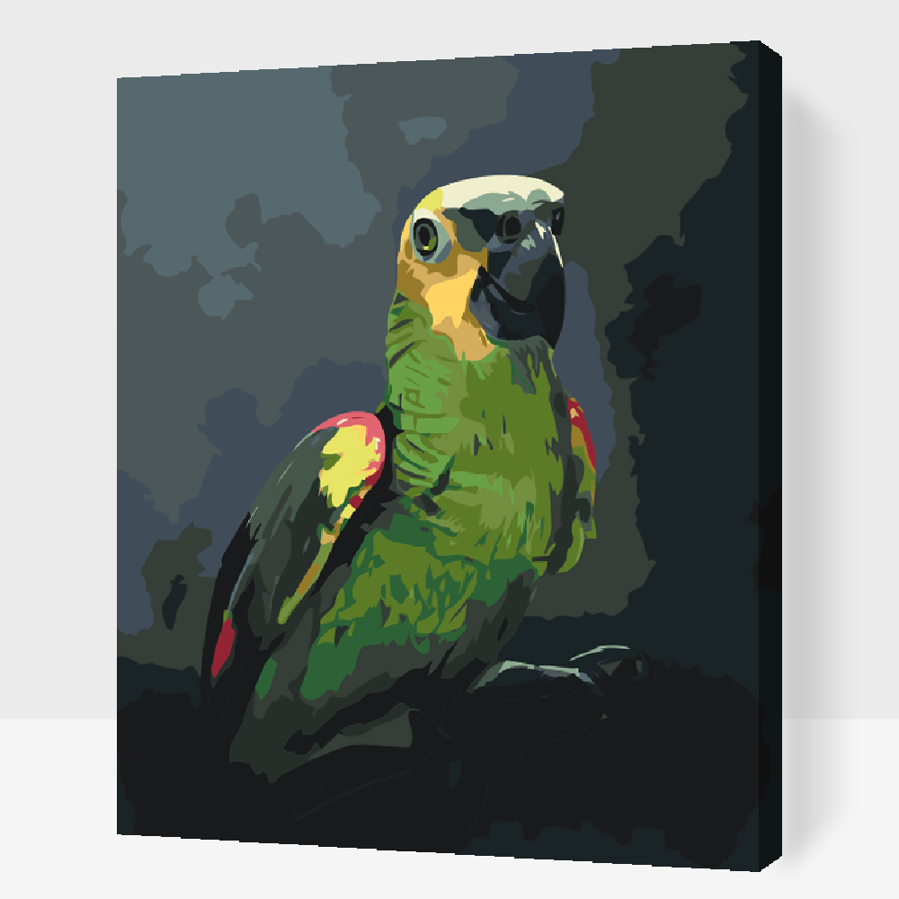 Paint by number - Amazonpapegøje