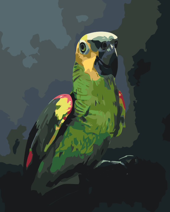 Paint by number - Amazonpapegøje