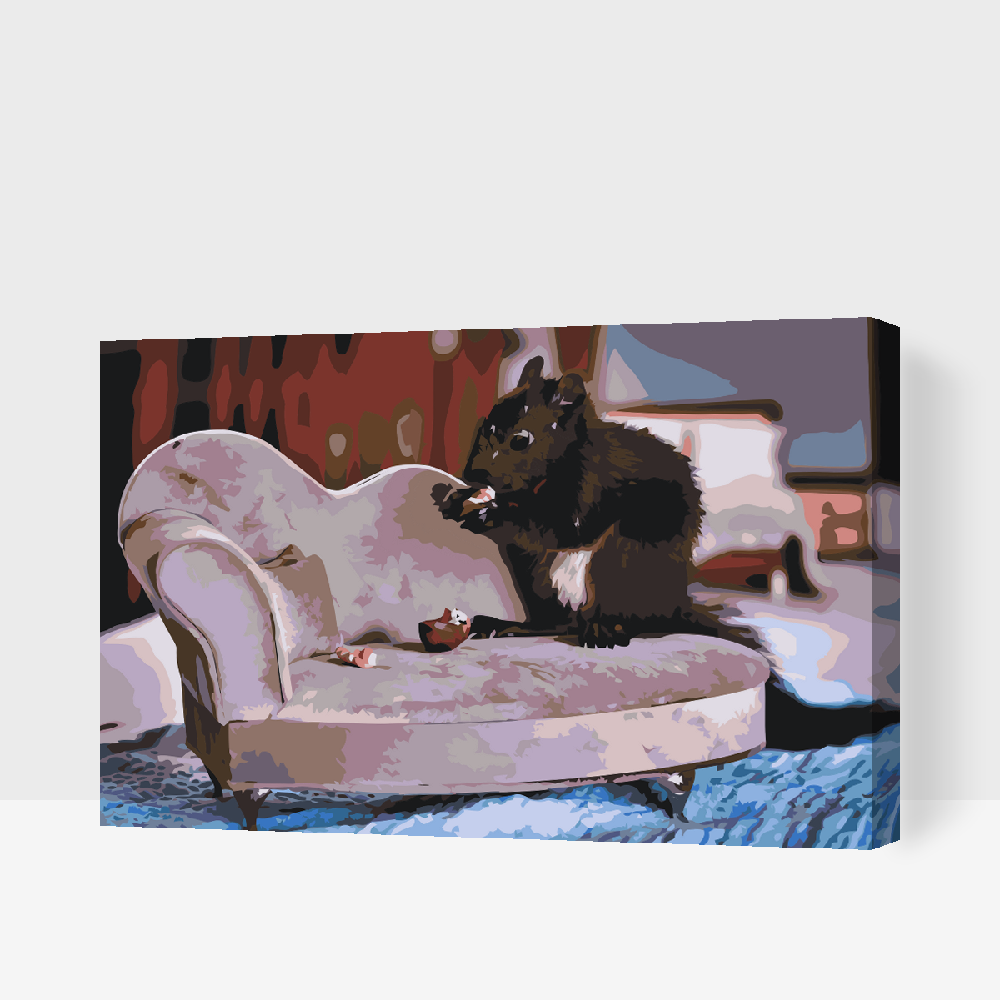 Paint by number - Egern på sofaen