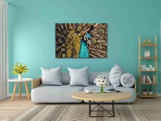 Paint by number - Stolt påfugl