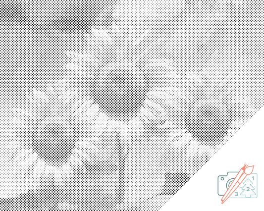 Dotting - Solsikke i studiet