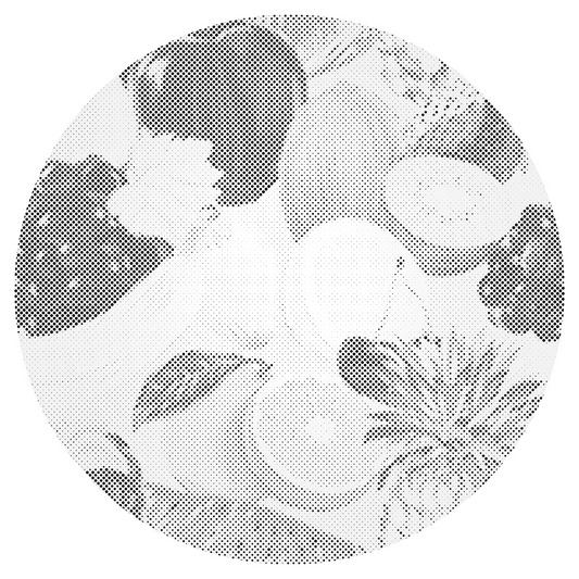 Dotting - Frugter af alle slags