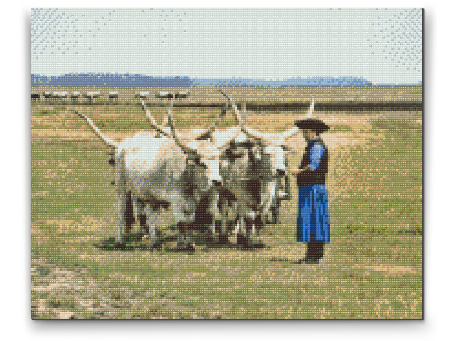 Diamond Paint - Hortobagy Nationalpark, Ungarn