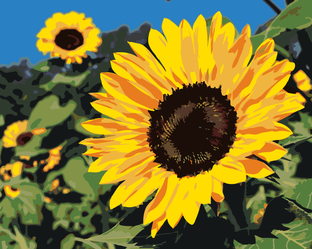 Paint by number - Solsikker