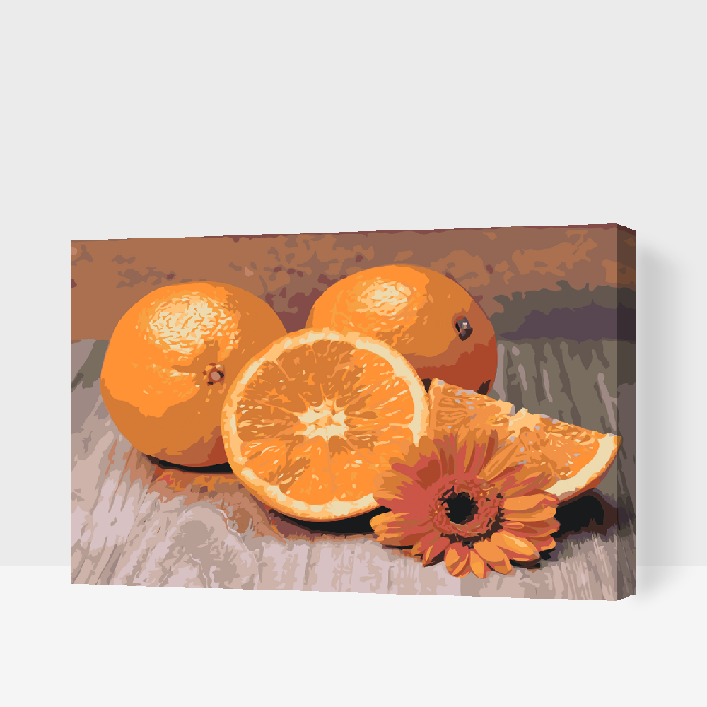 Paint by number - Citrusfrugter, appelsin
