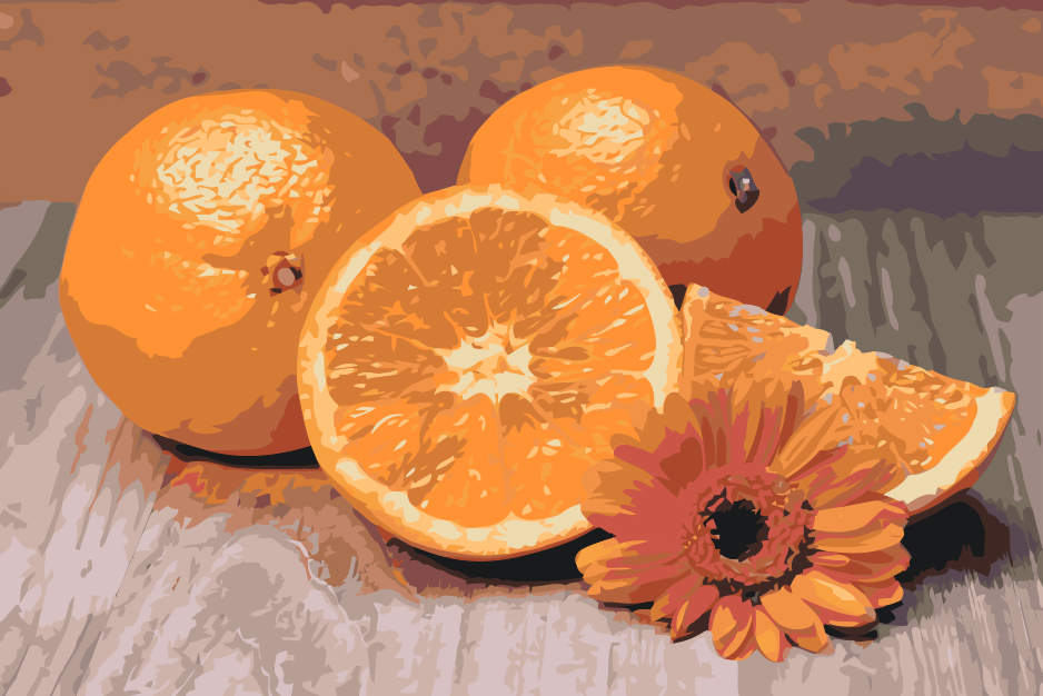 Paint by number - Citrusfrugter, appelsin