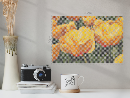 Perleplader - Tulipaner