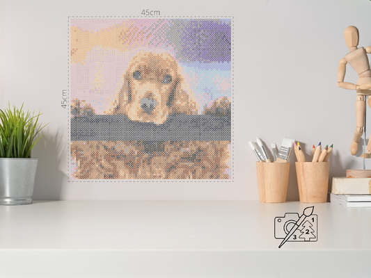 Perleplader - Engelsk cocker spaniel