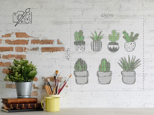 Perleplader - Kaktusser