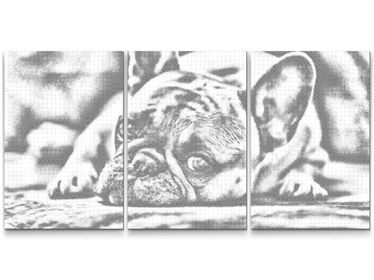 Dotting - Bedårende Bulldog (sæt af 3)