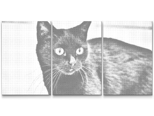 Dotting - Vild Sort Kat (sæt af 3)