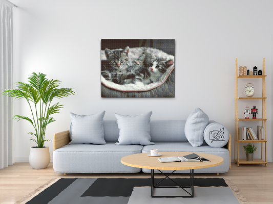 Diamond Paint - Killinger i kurv