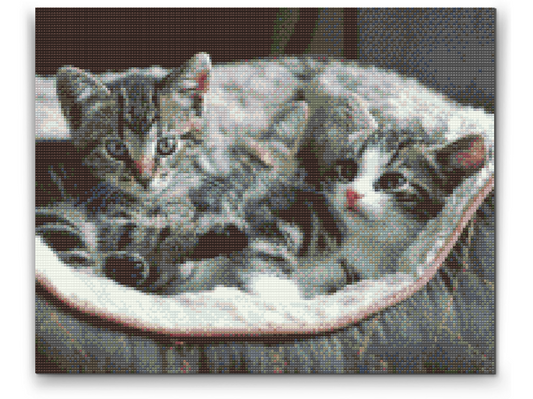 Diamond Paint - Killinger i kurv