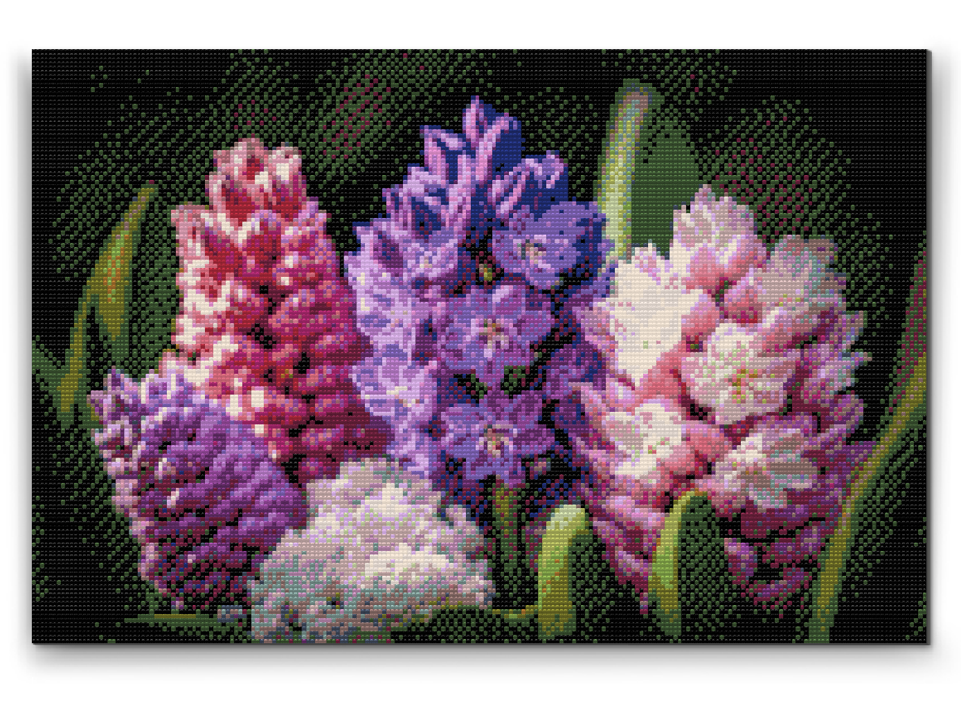 Diamond Paint - Hyacinter