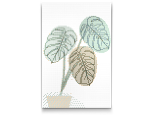 Diamond Paint - Boho Monstera 2