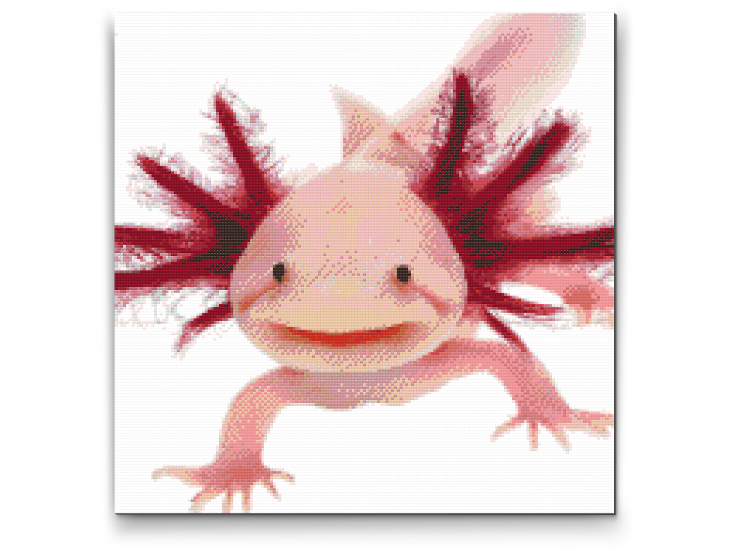 Diamond Paint - Axolotl 3