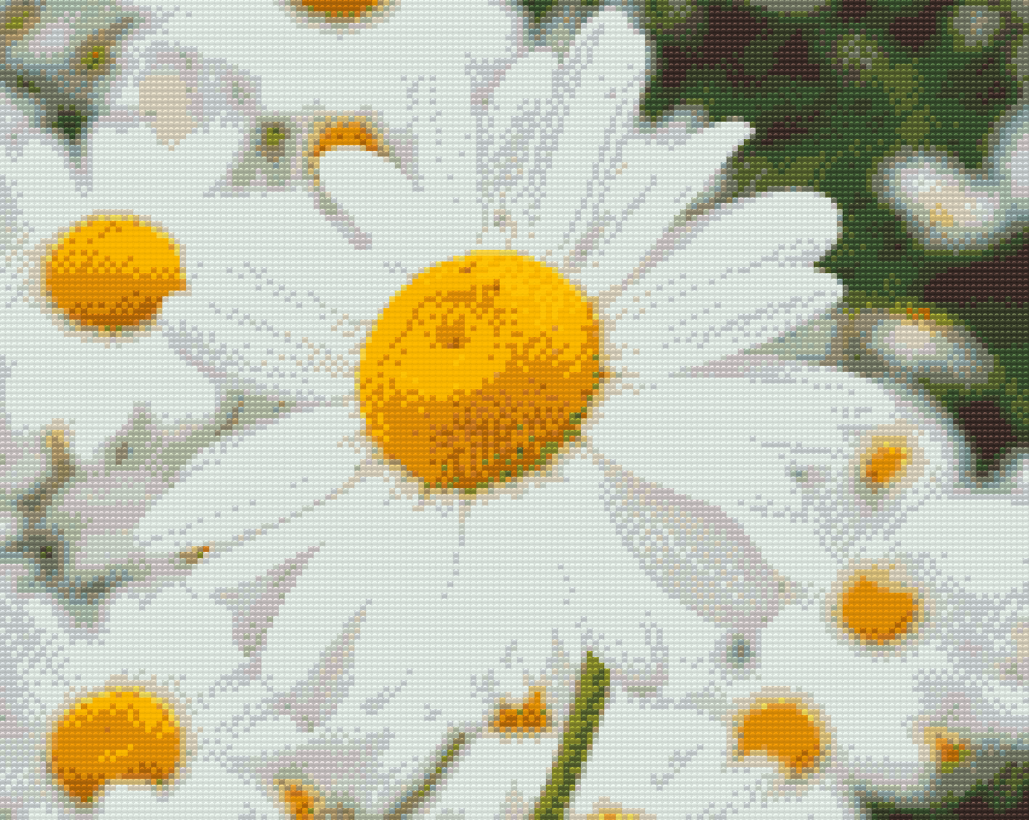 Diamond Paint - Margueritter