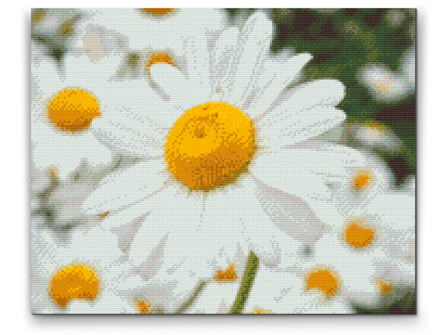 Diamond Paint - Margueritter