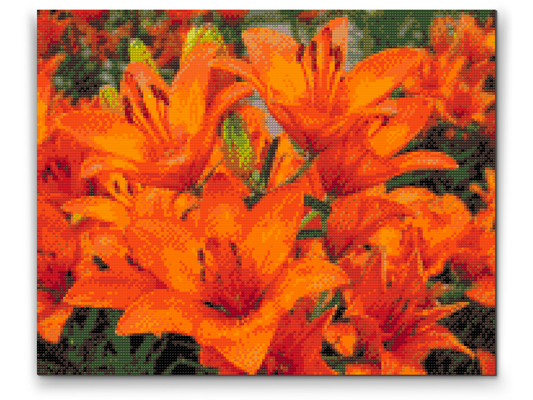 Diamond Paint - Orange liljer