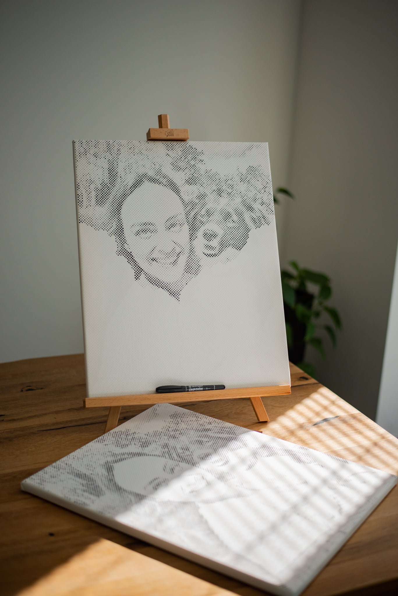 Dotting - Genskab dit foto med prikker!