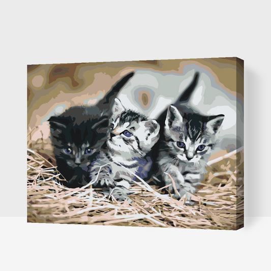 Paint by number - Killinger