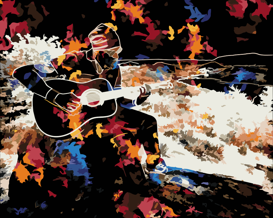 Paint by number - Guitarist