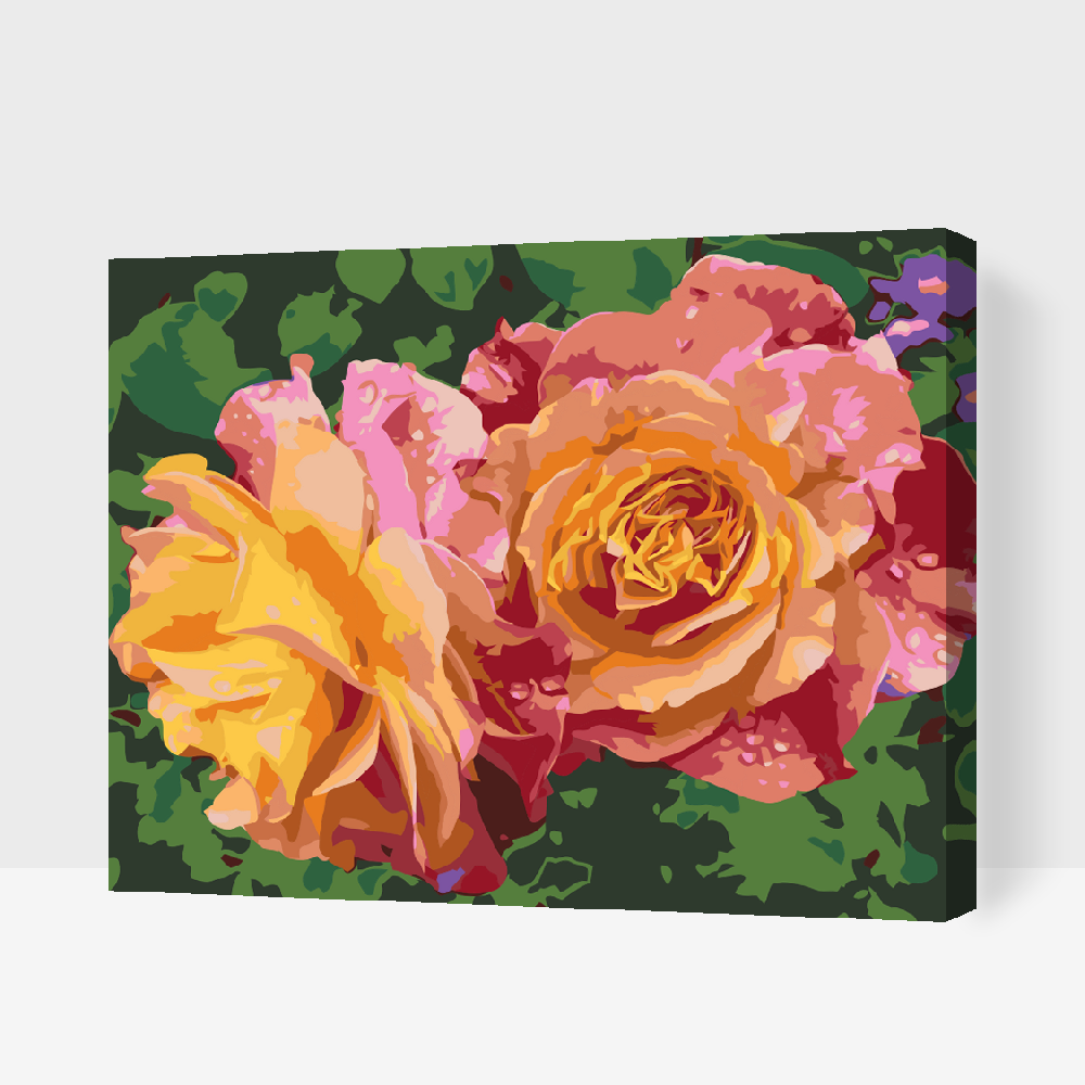 Paint by number - Rose, Skønhedens Blomster
