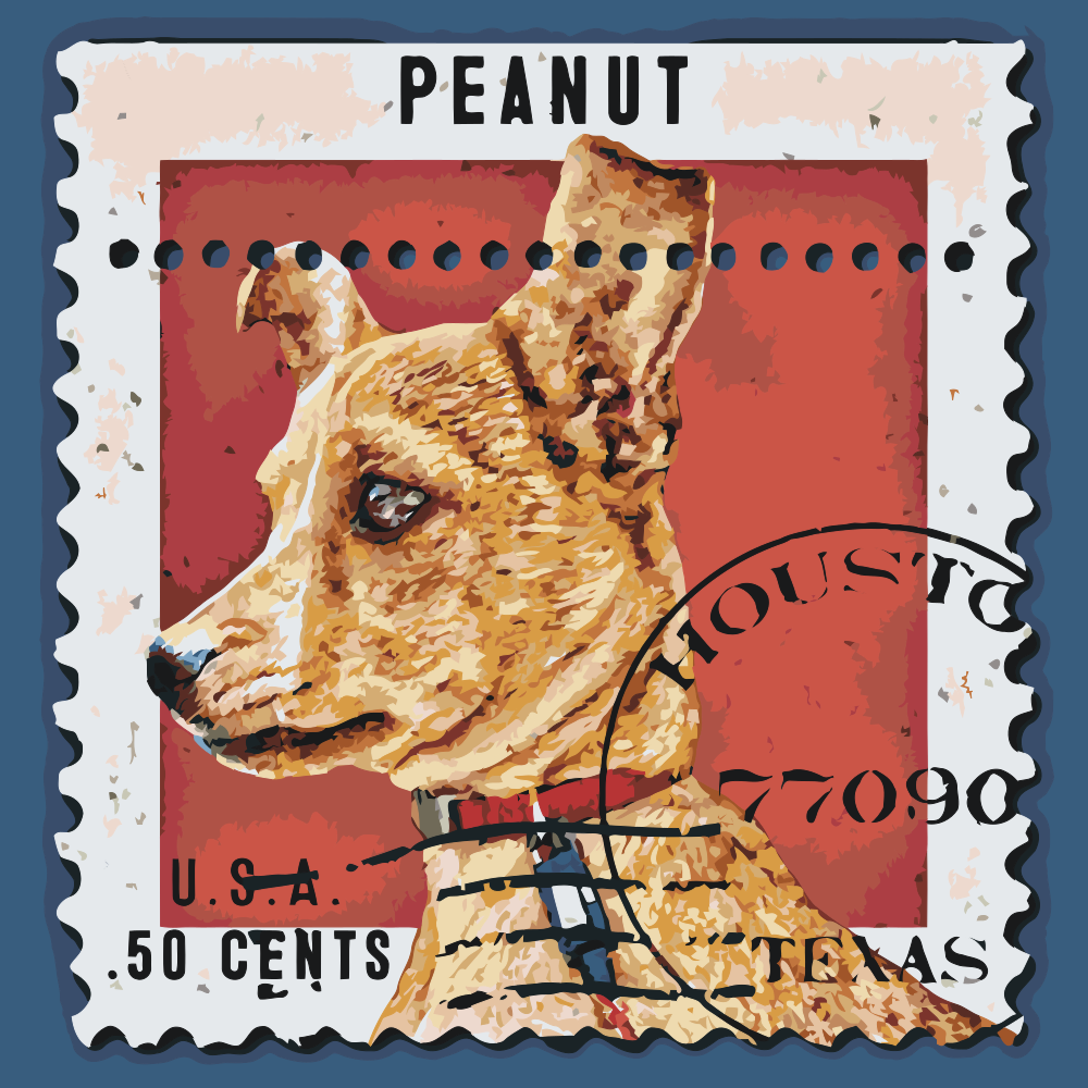 Paint by number - Hundestempel