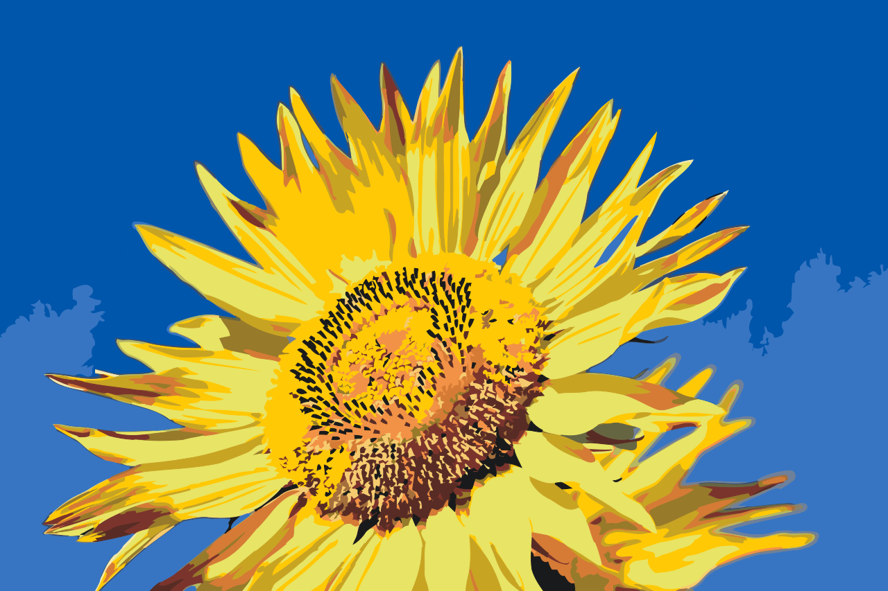 Paint by number - Blå himmel og solsikke