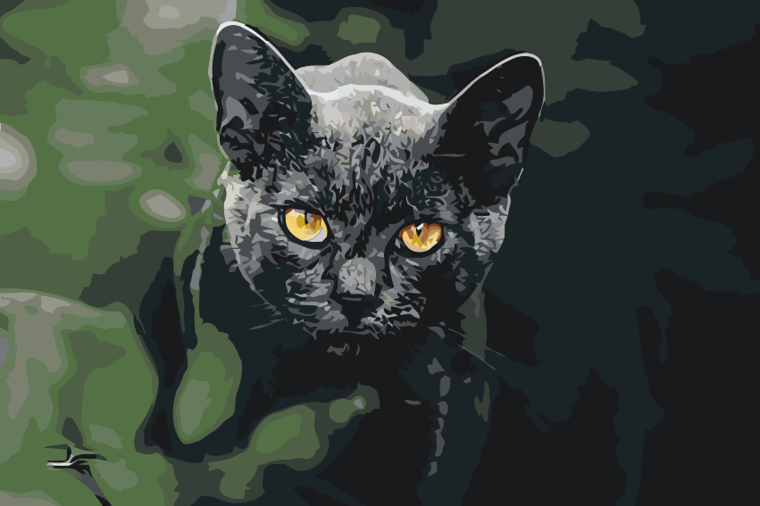 Paint by number - Sort Kat