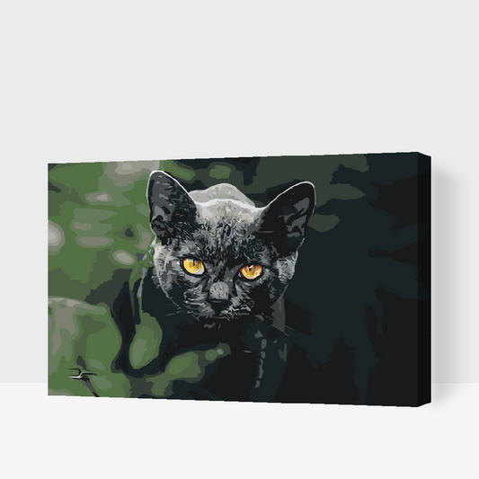 Paint by number - Sort Kat