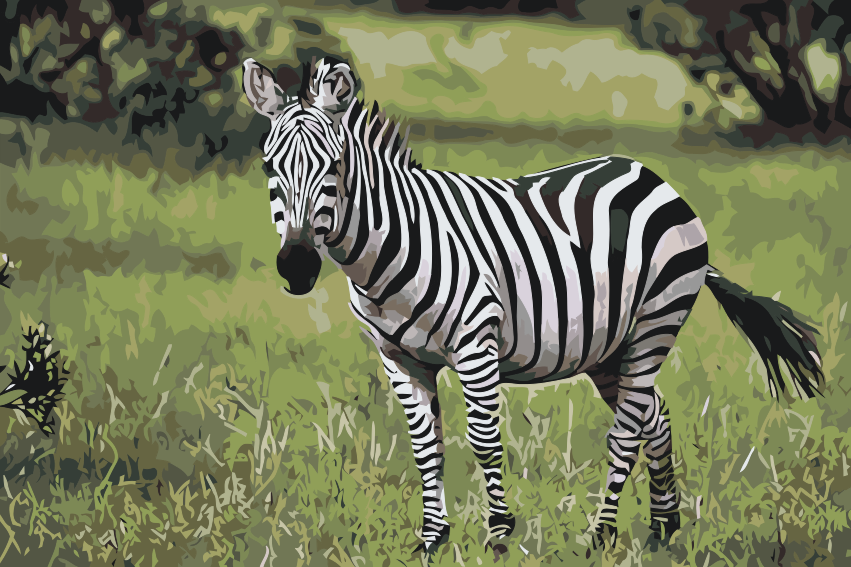 Paint by number - Zebra i naturen