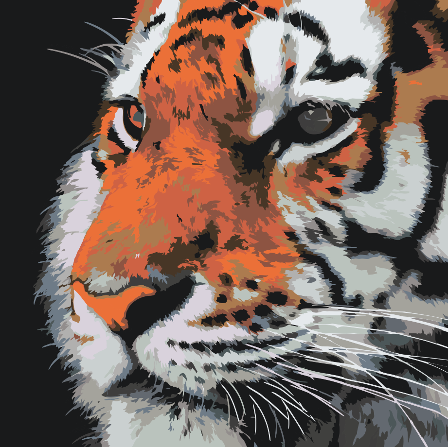 Paint by number - Tiger